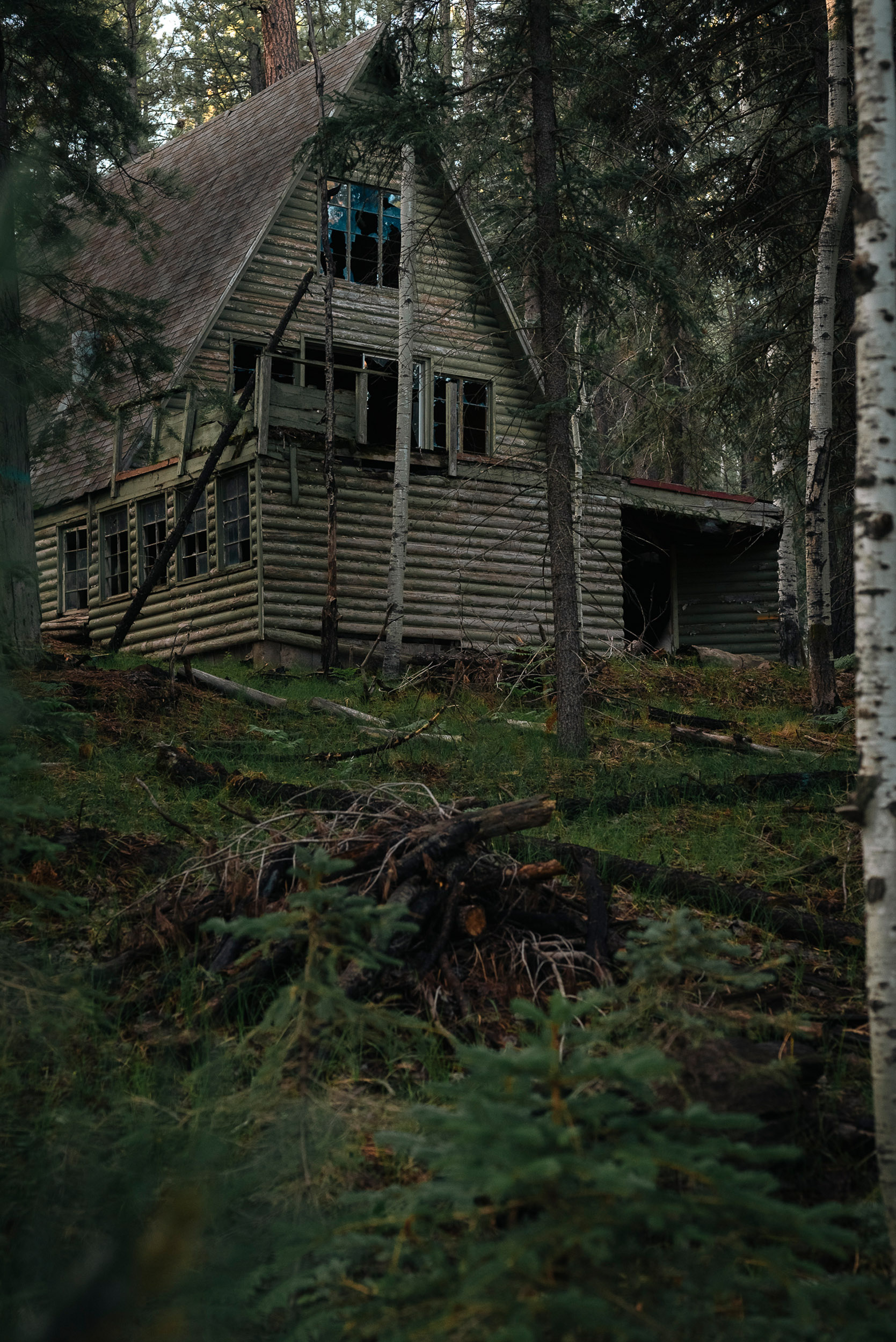 01 greer - story5 photography by Rachael Rodriguez