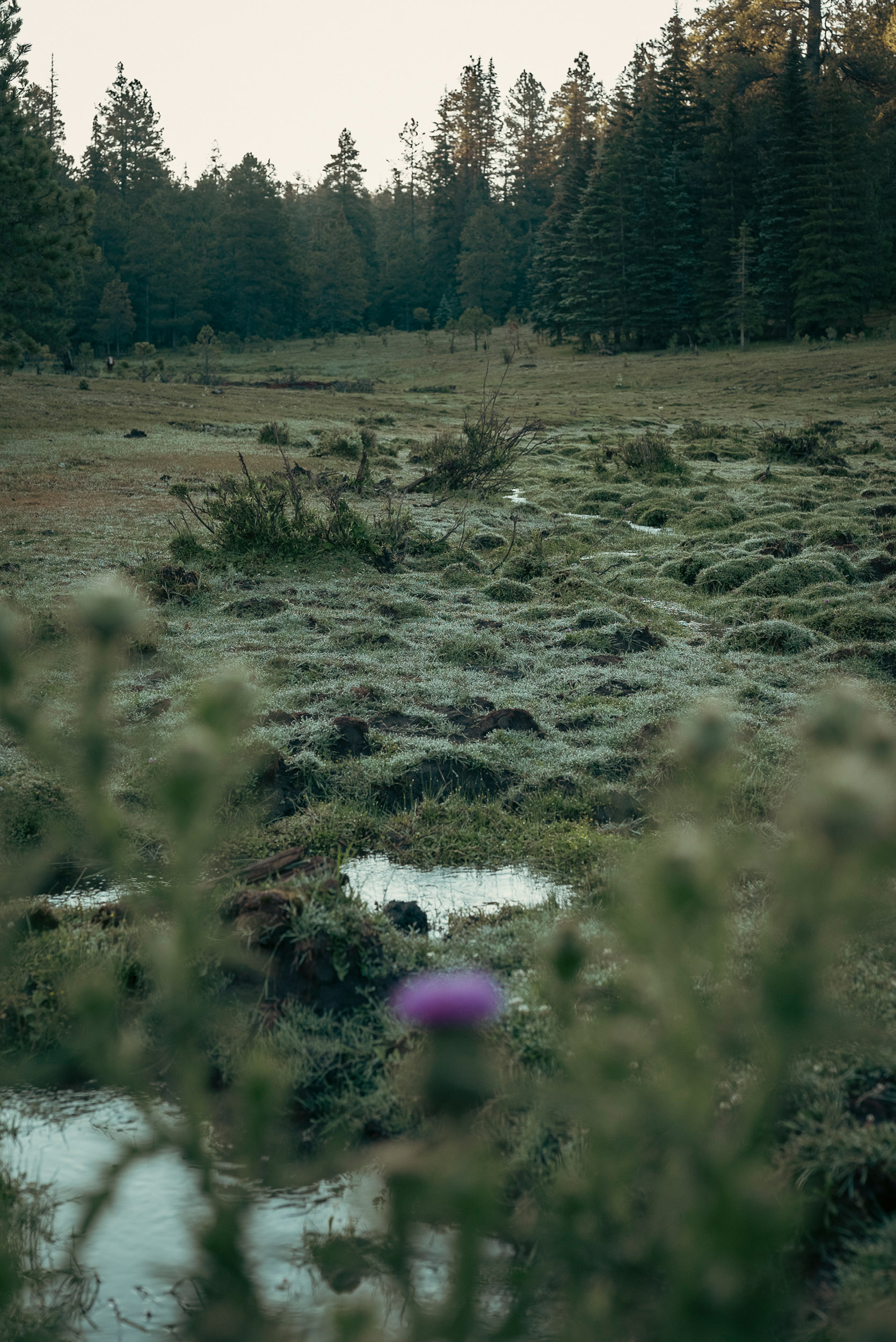03 greer - story5 photography by Rachael Rodriguez