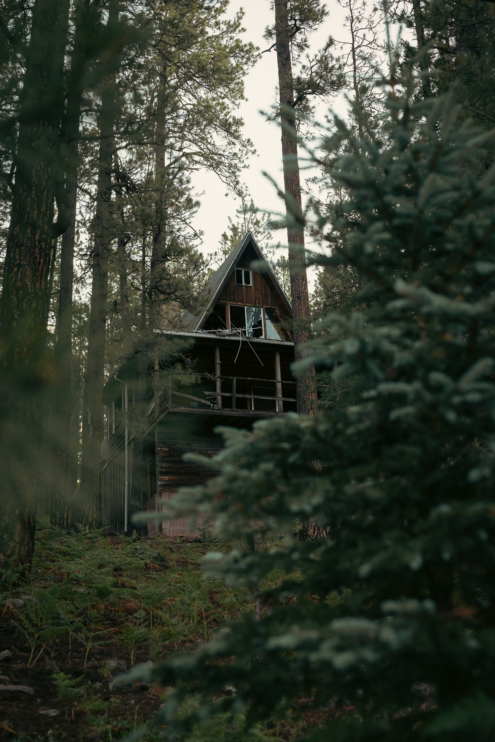 10 greer  - story5 photography by Rachael Rodriguez