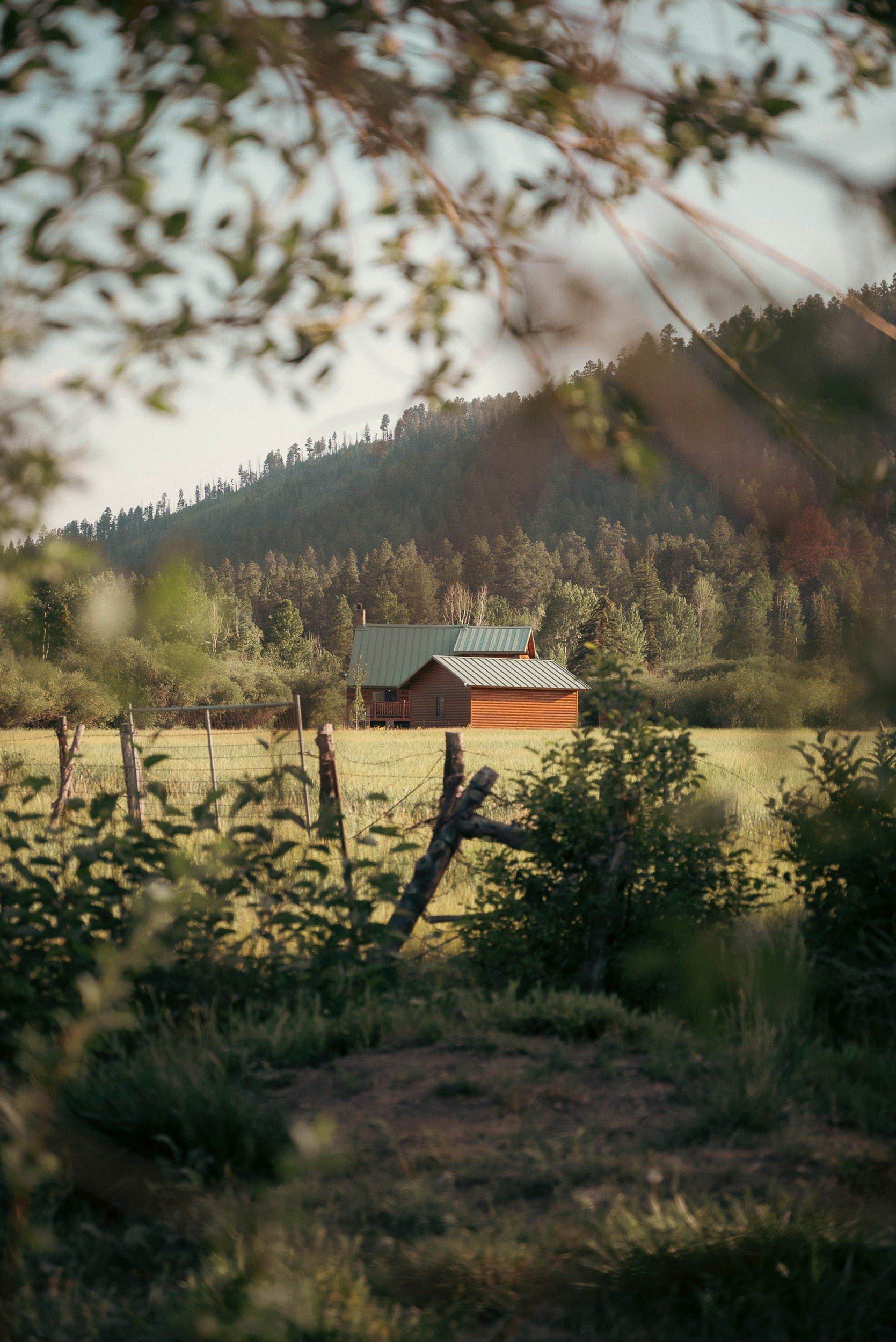 13 greer - story5 photography by Rachael Rodriguez