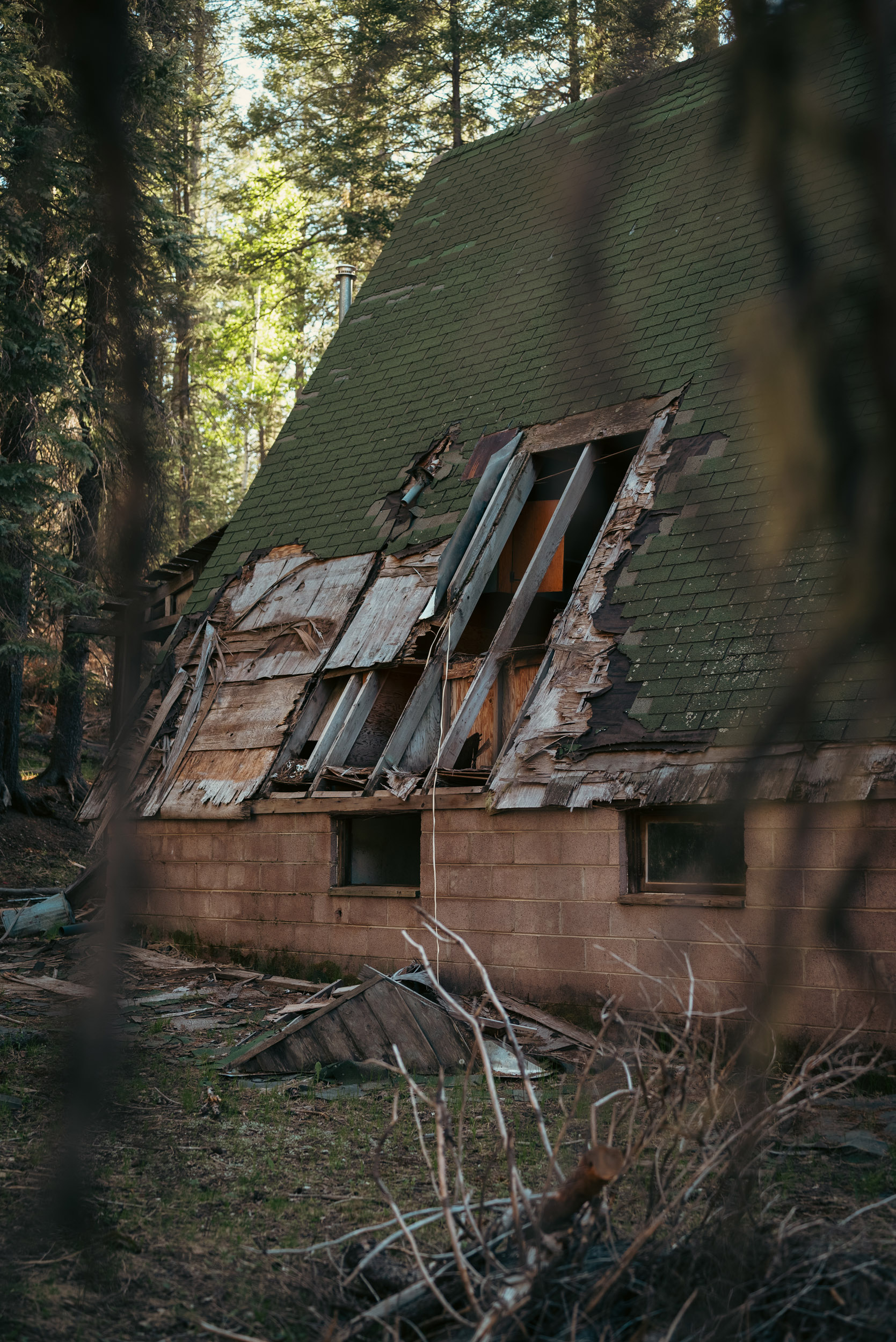 14 hawley - story5 photography by Rachael Rodriguez