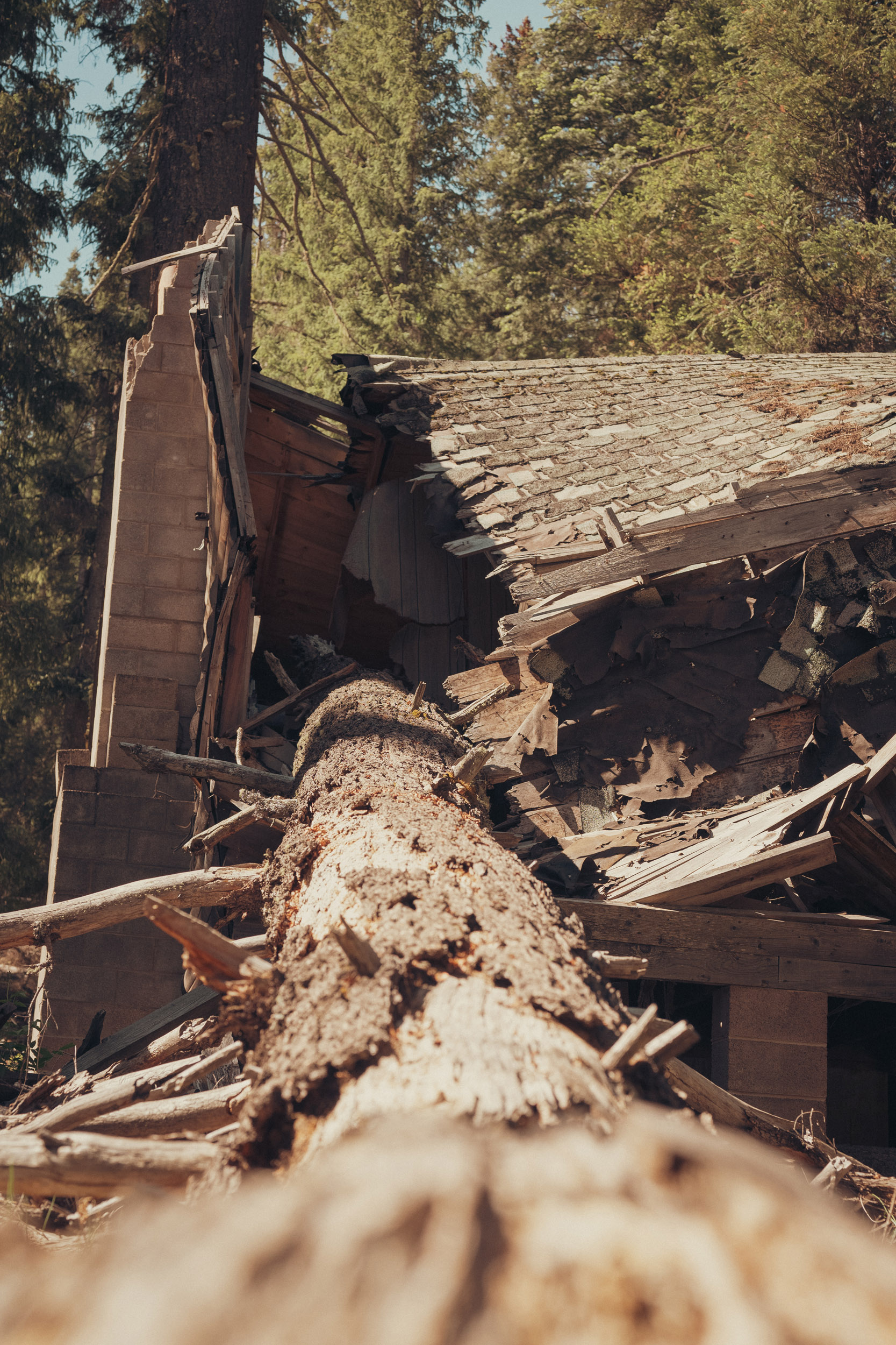 17 hawley - story5 photography by Rachael Rodriguez