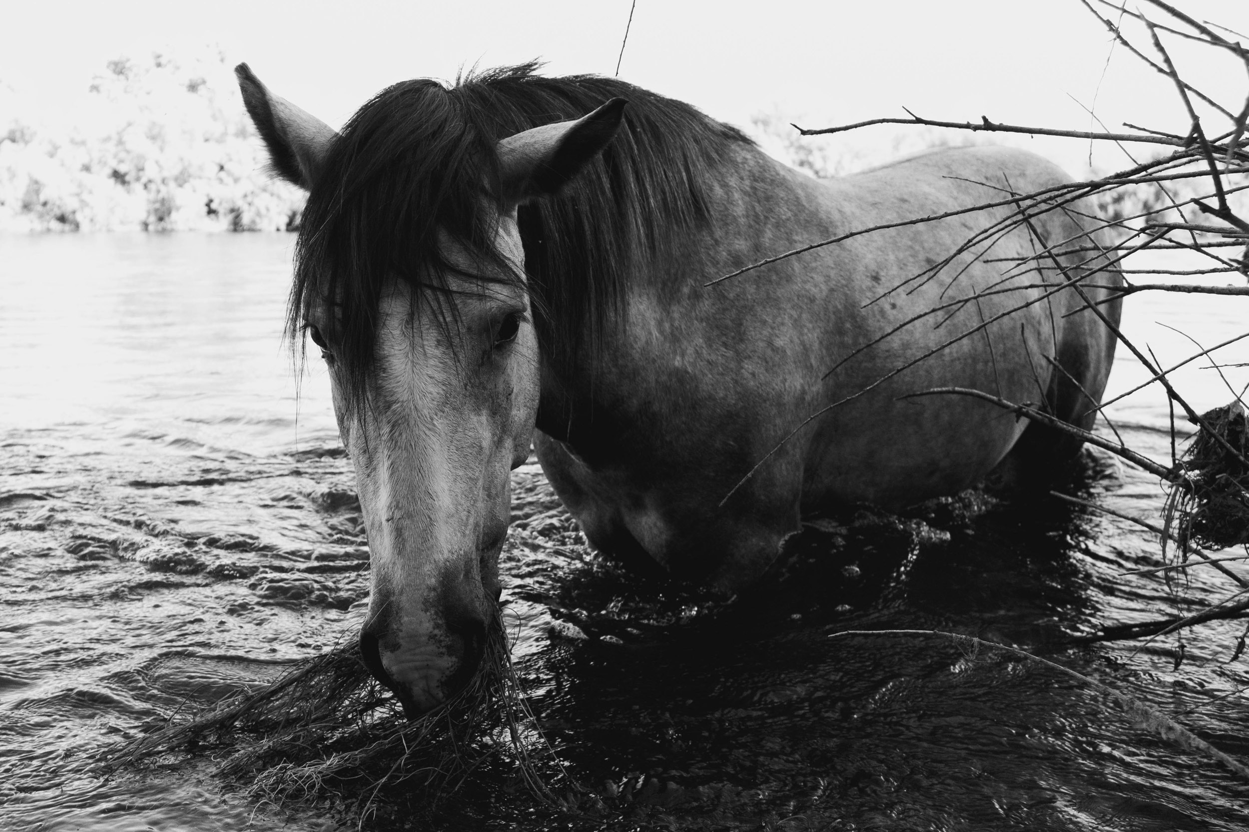 27 sam - story5 photography by Rachael Rodriguez