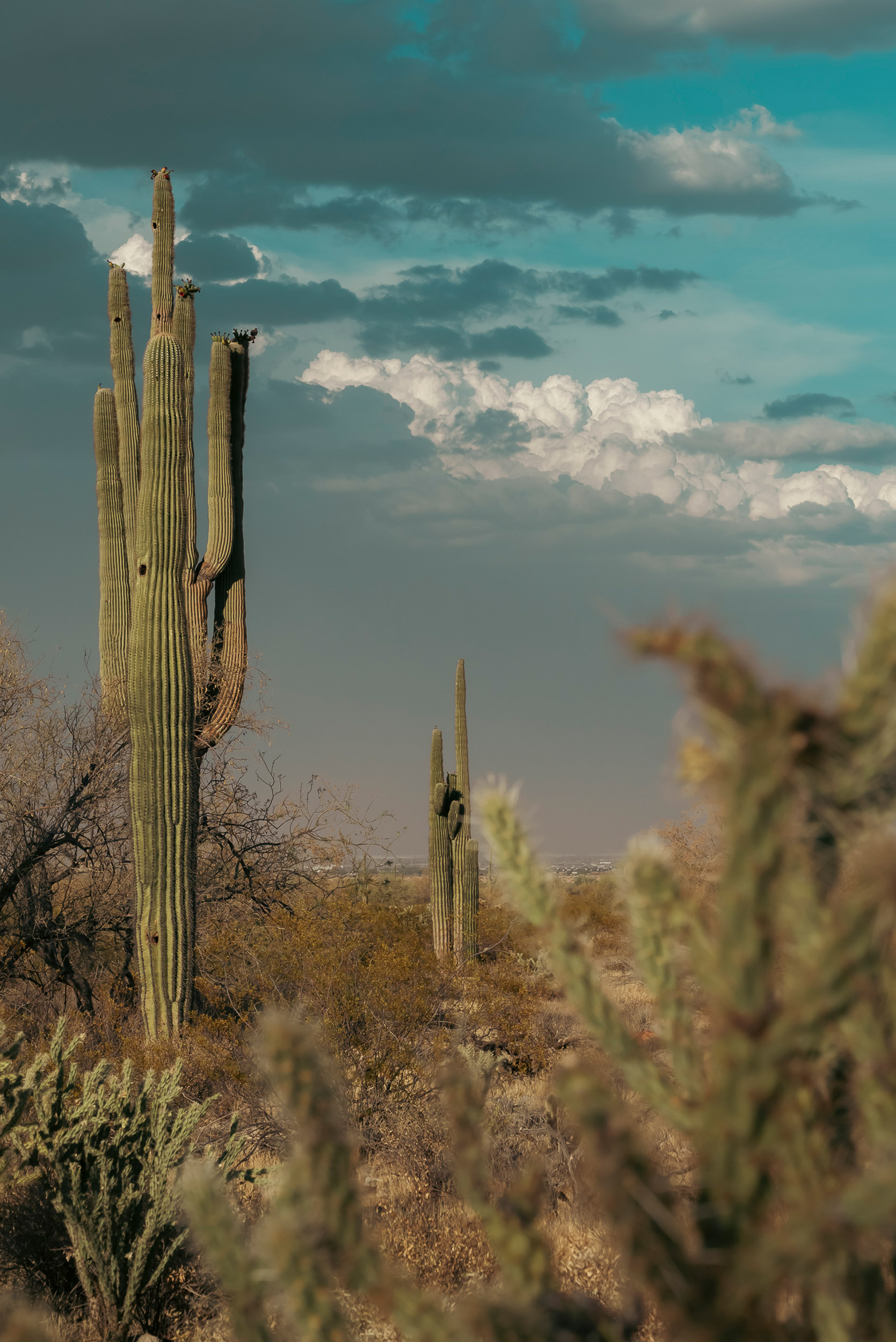 29 monsoon  - story5 photography by Rachael Rodriguez