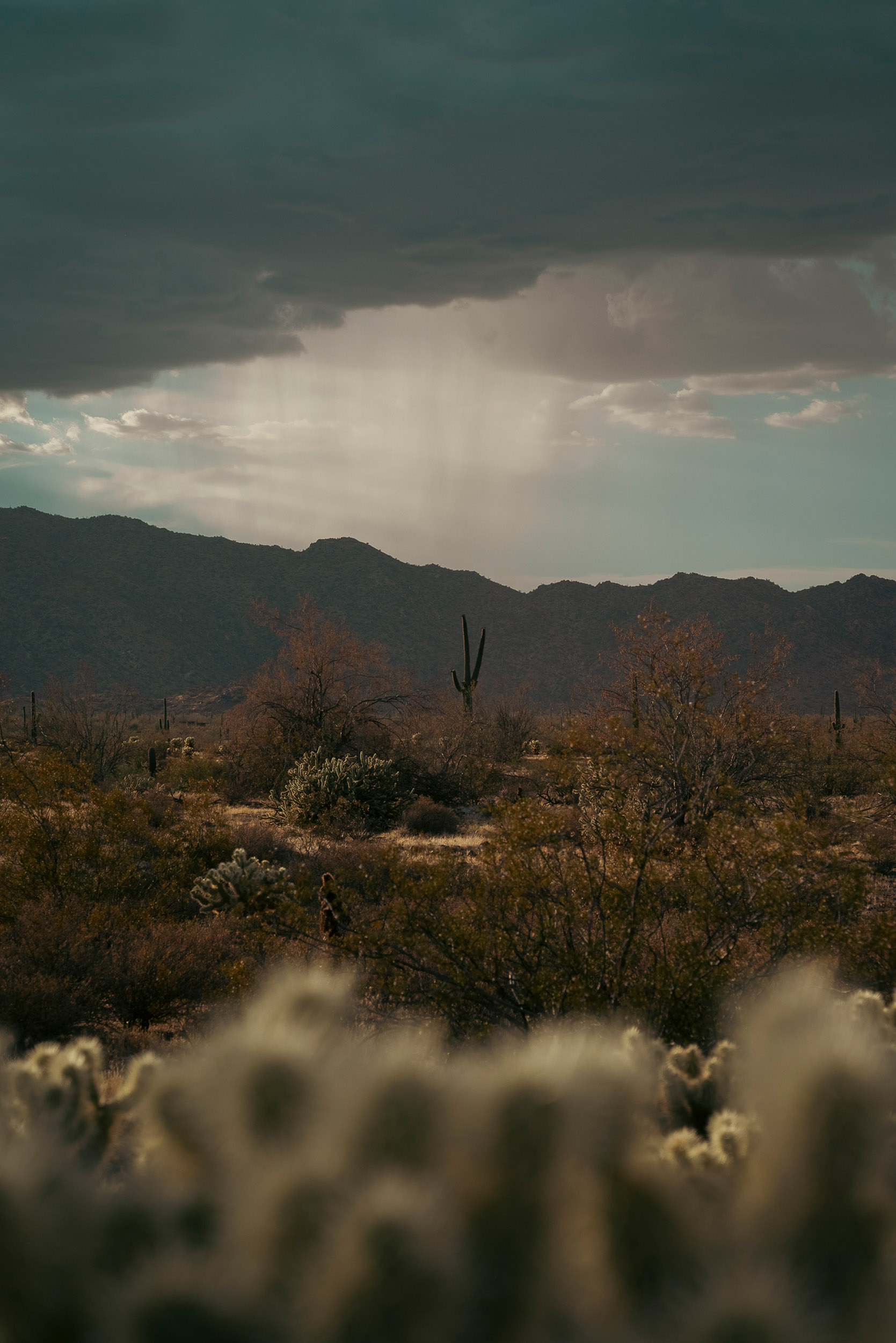 30 monsoon - story5 photography by Rachael Rodriguez
