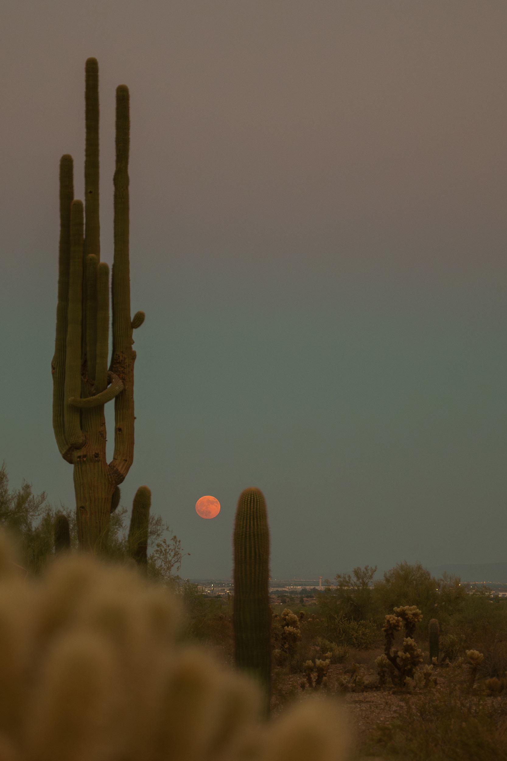 40 summermoon  - story5 photography by Rachael Rodriguez