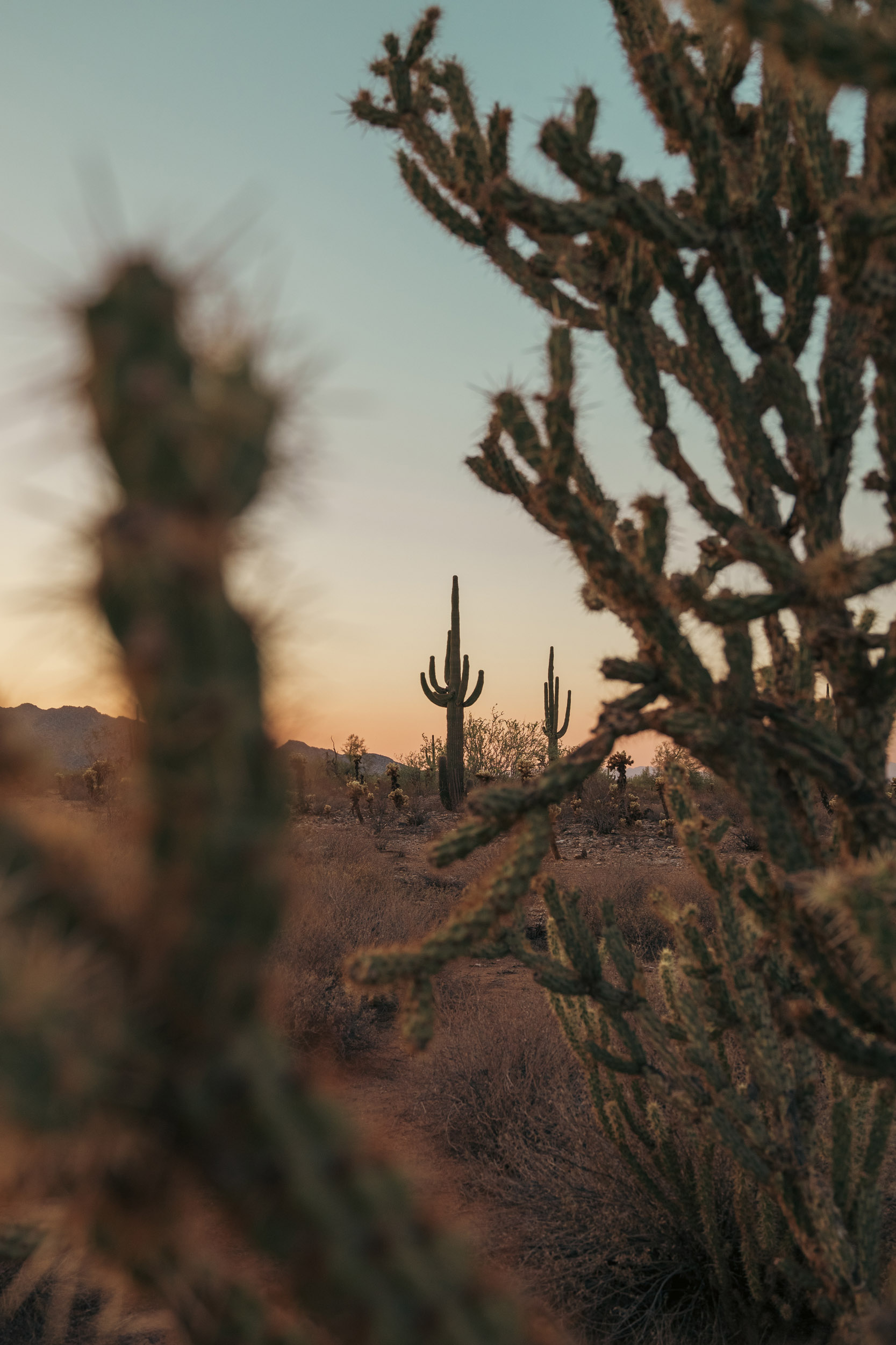 41 summermoon - story5 photography by Rachael Rodriguez