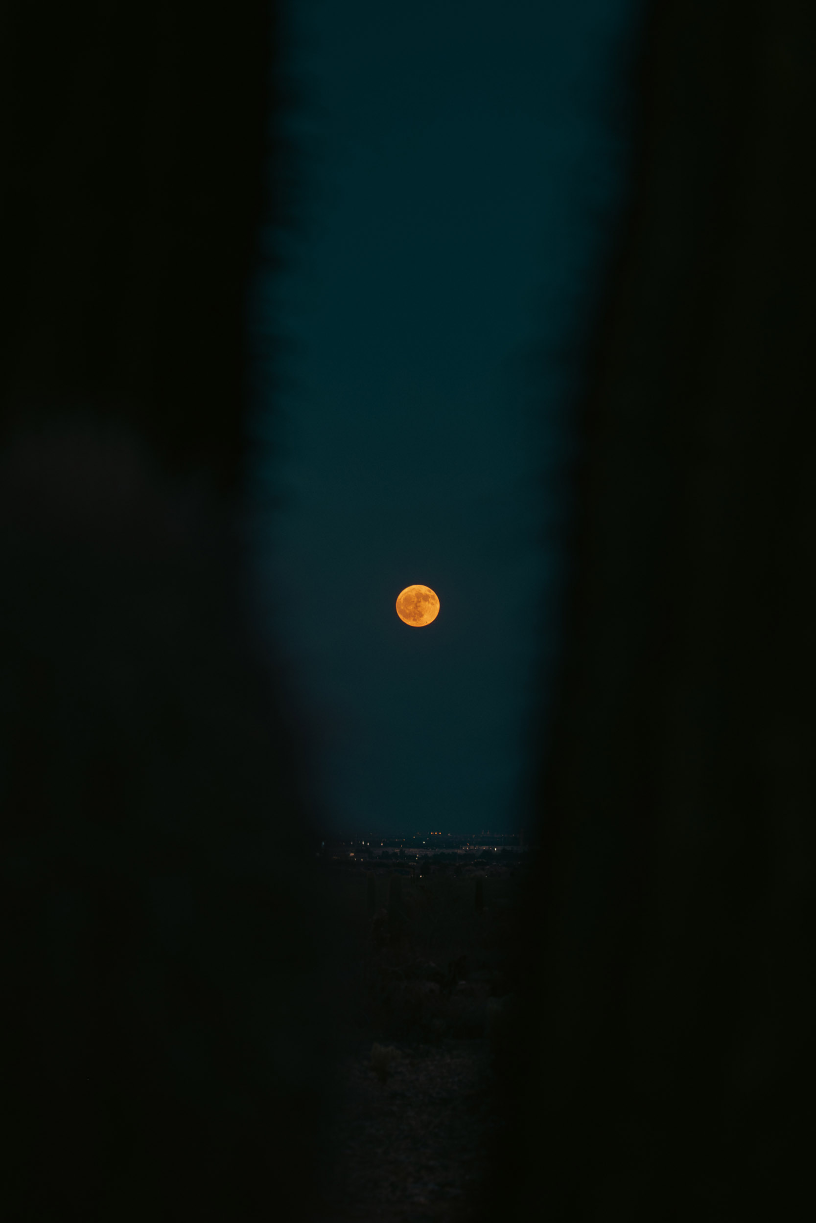 42 summermoon  - story5 photography by Rachael Rodriguez