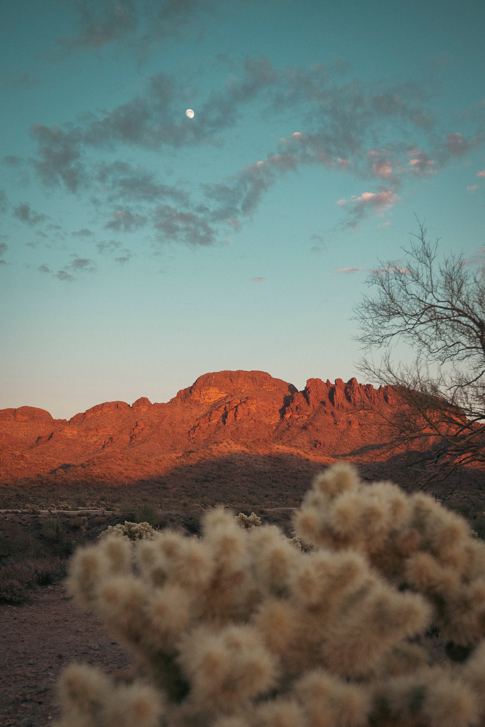 45 dusk - story5 photography by Rachael Rodriguez