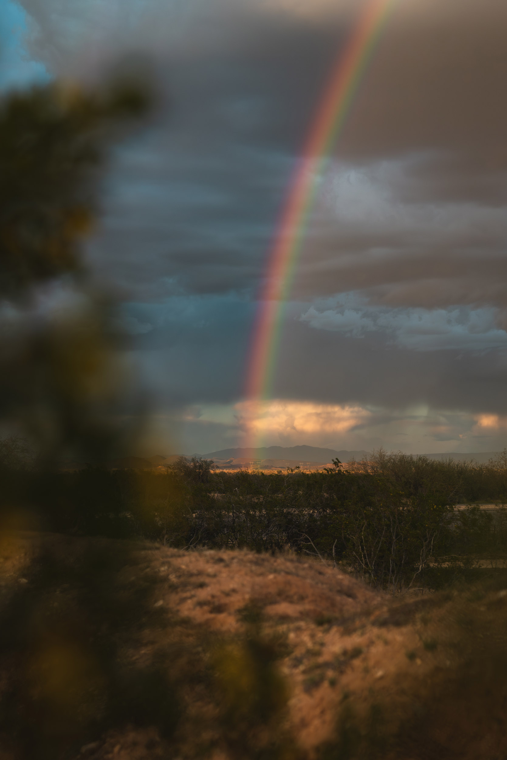 54 rainbow  - story5 photography by Rachael Rodriguez